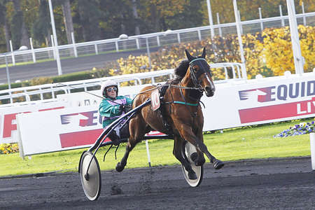 Actualités Hippiques